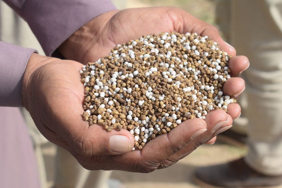 Cupped hands holding a mix of brown and white granular fertiliser.