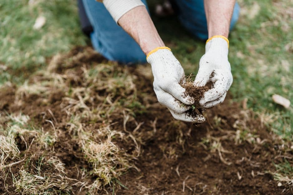 Gloved hands holding a small sample of soil lifted from a freshly dug patch of ground.